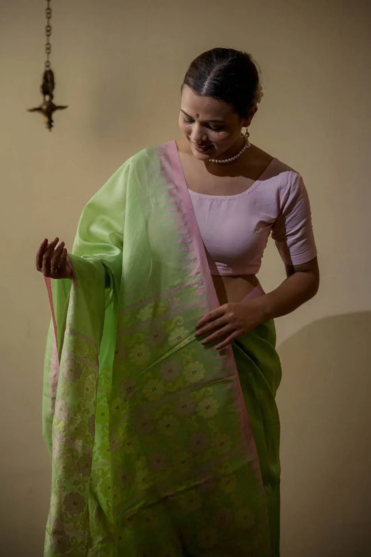 Manipur Sarees – A Complete Guide to the Rich Textile Heritage