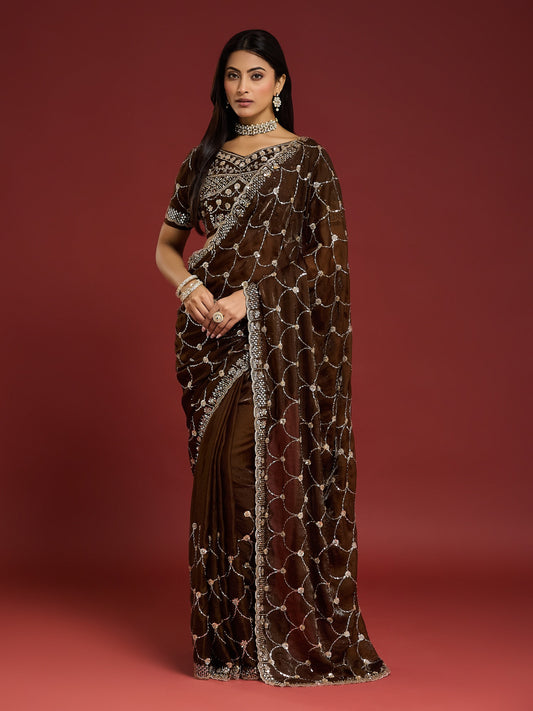 Woman wearing brown satin saree with ornamented surface design and brown blouse