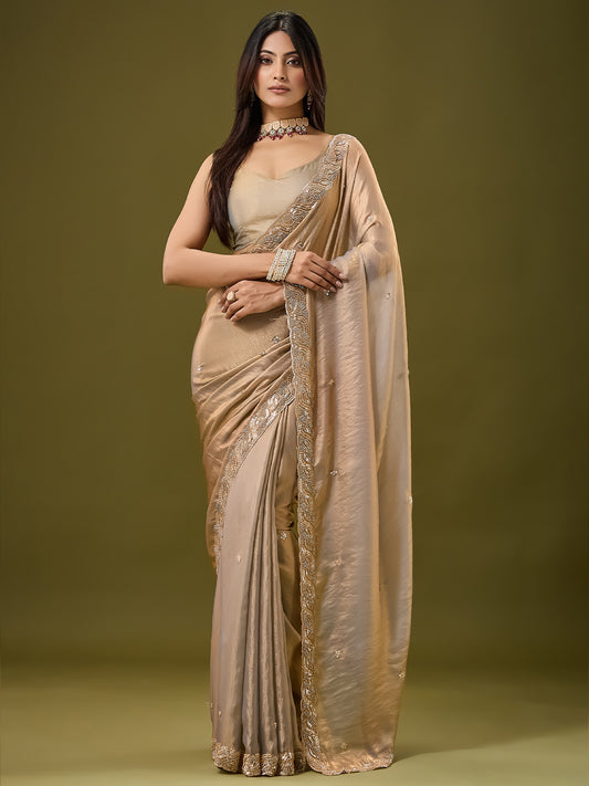 Woman wearing metallic satin saree with ornamented surface design and metallic blouse