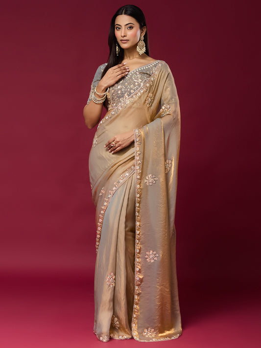 Woman wearing metallic satin silk saree with ornamented surface design and metallic blouse