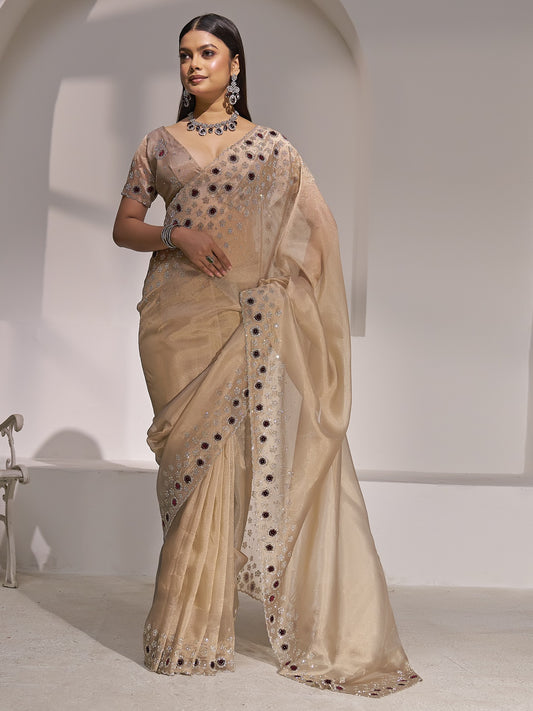 Champagne applique organza saree with champagne blouse piece