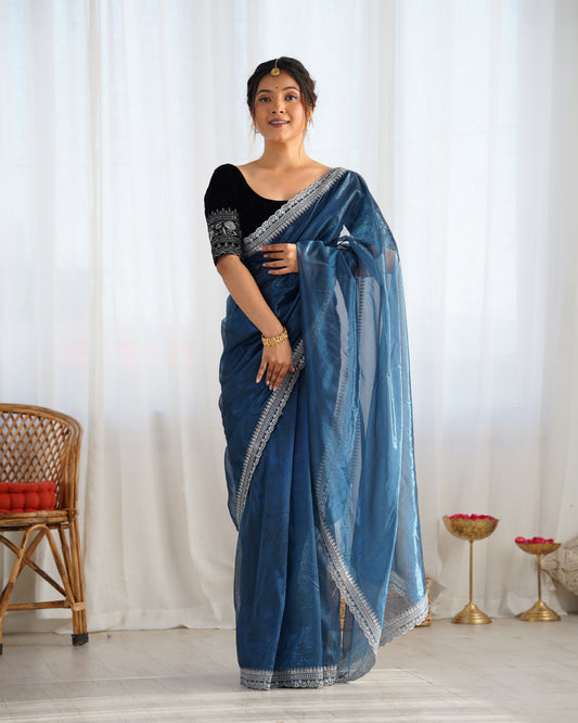 Organza Saree with Embroidered Velvet Blouse