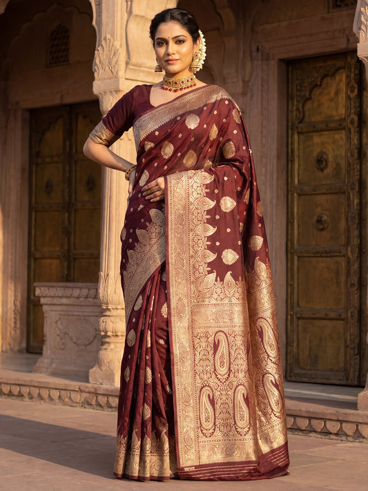 Saree Heritage Coffee Brown Paisley Ensemble