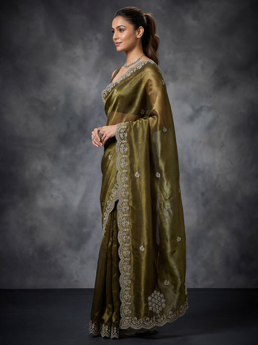 Tissue Silk : Cutwork Border Saree - Ressa