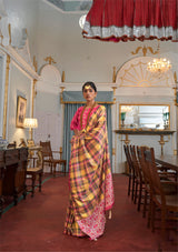 Whimsical Kathputli Saree