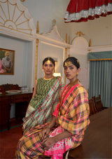 Whimsical Kathputli Saree