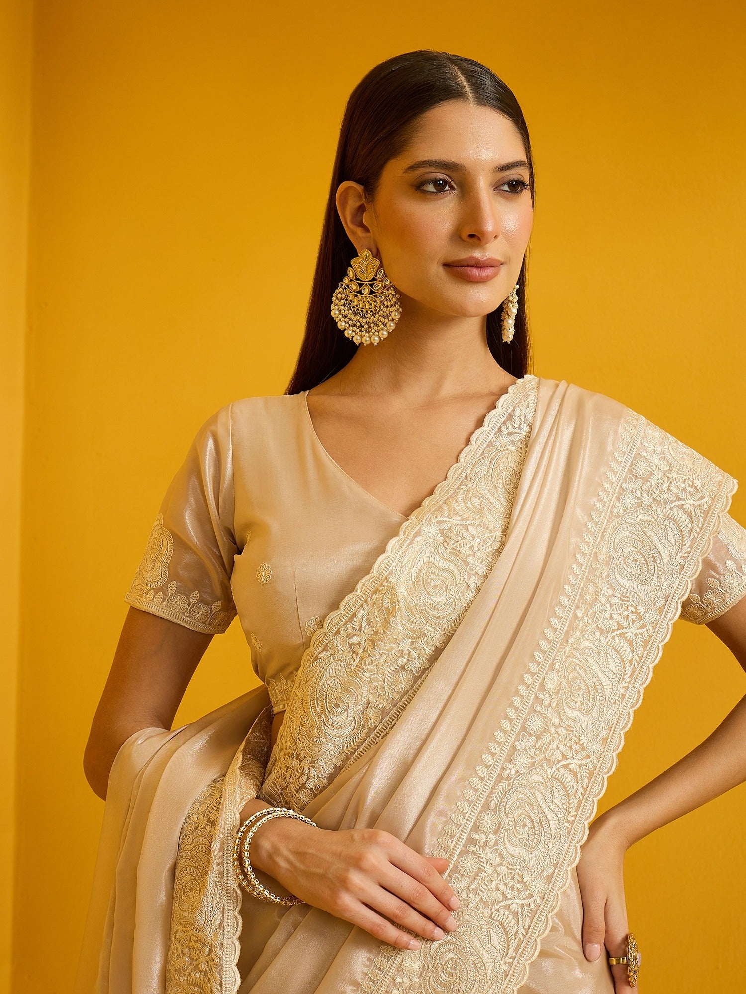 Beige Organza saree – detail view 3