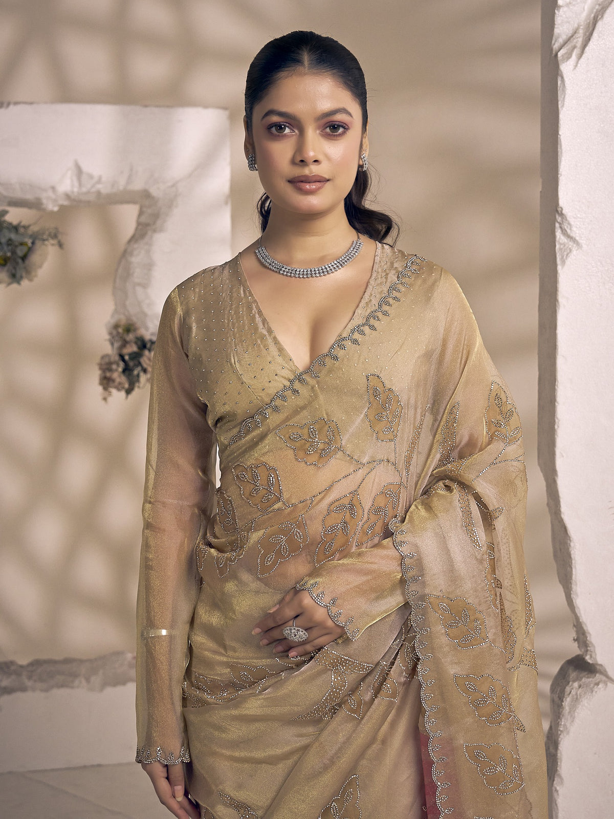 Champagne organza saree view 5