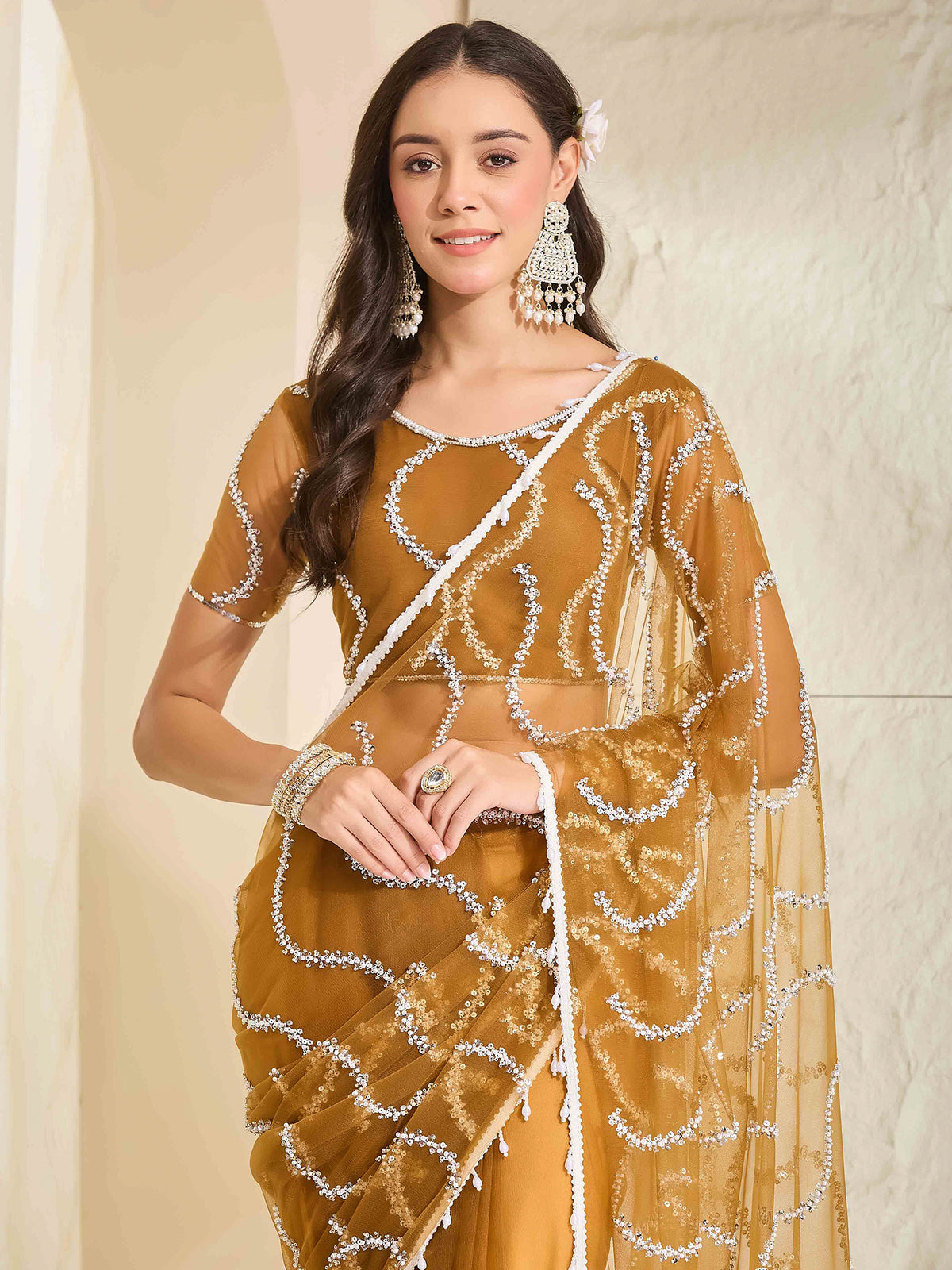Light Brown Net saree – detail view 4