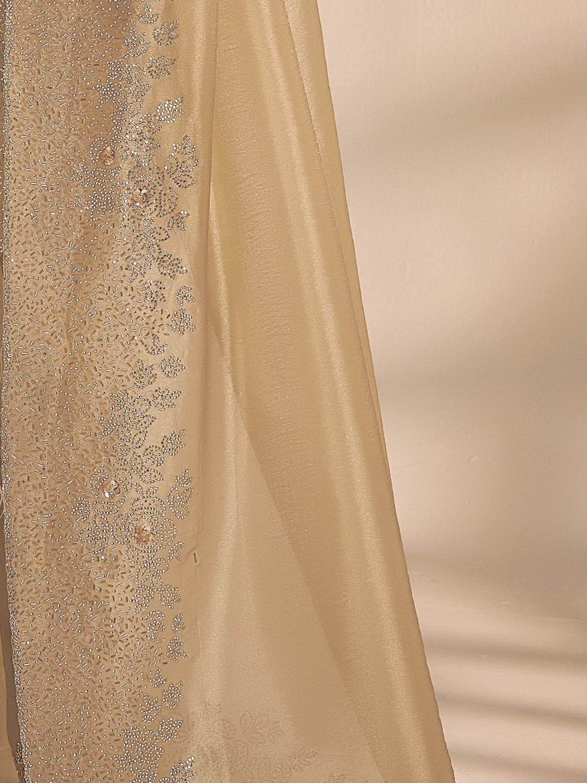 Pallu detail of champagne organza saree showing applique design and embellished border
