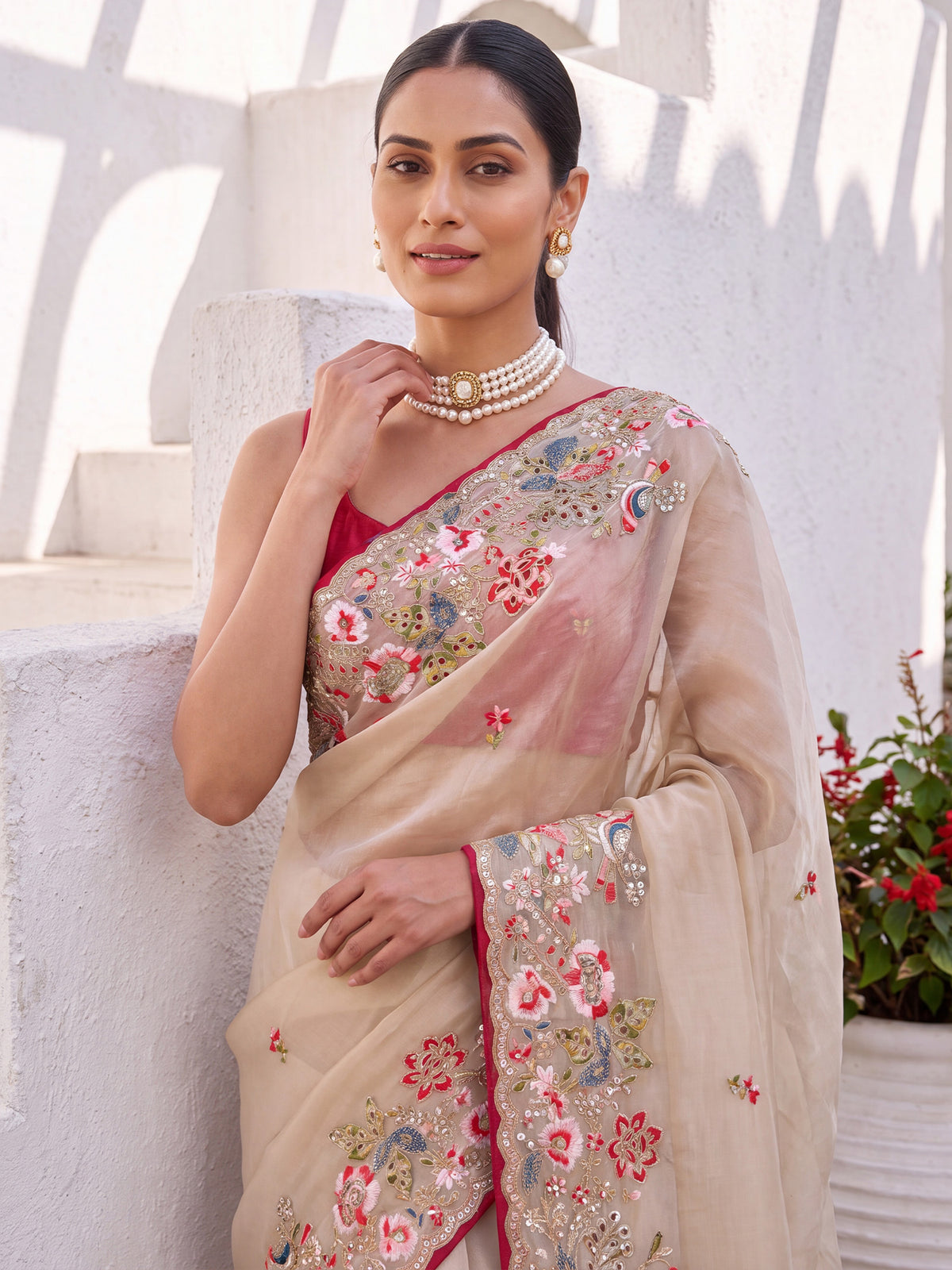 Beige Organza saree – detail view 4
