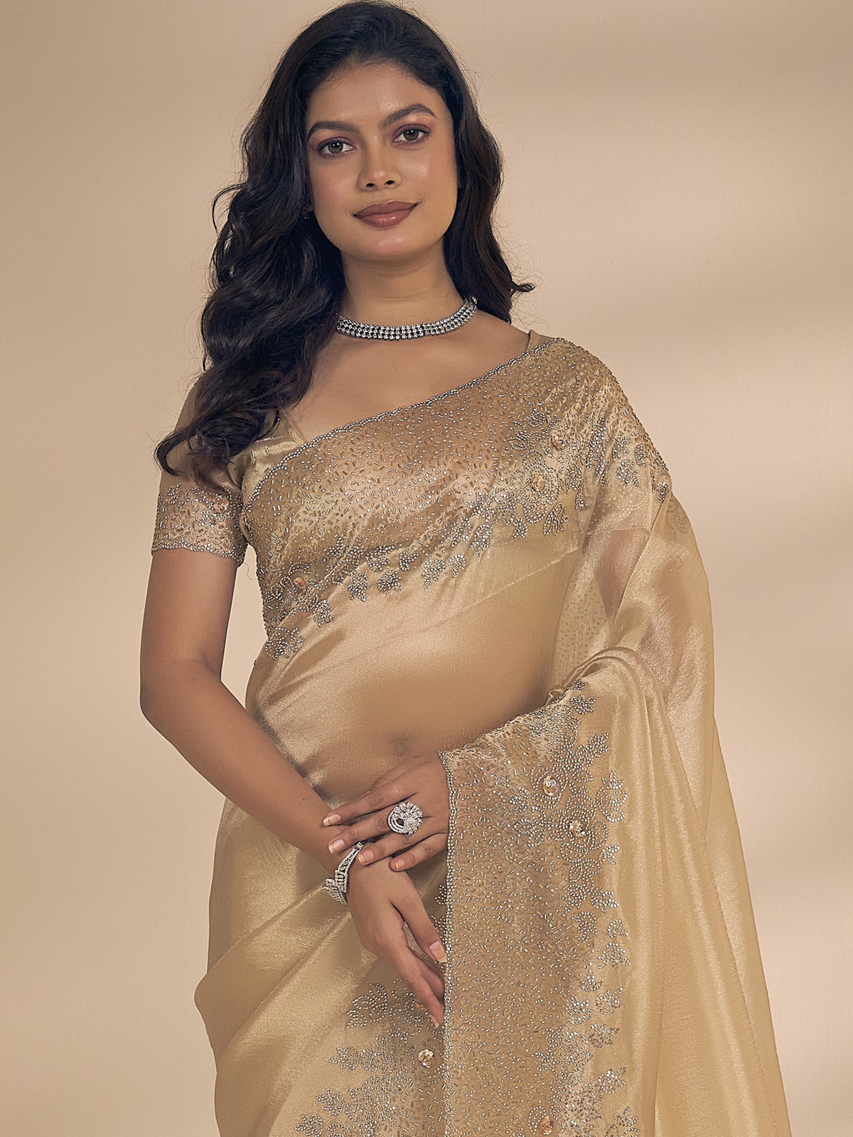 Champagne organza saree view 4