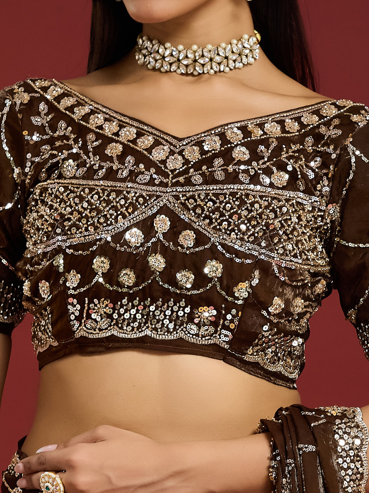 Brown Satin saree – detail view 6