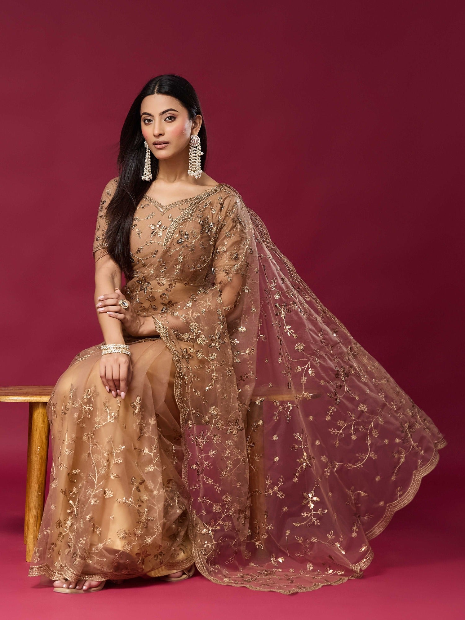 Beige Net saree – detail view 4