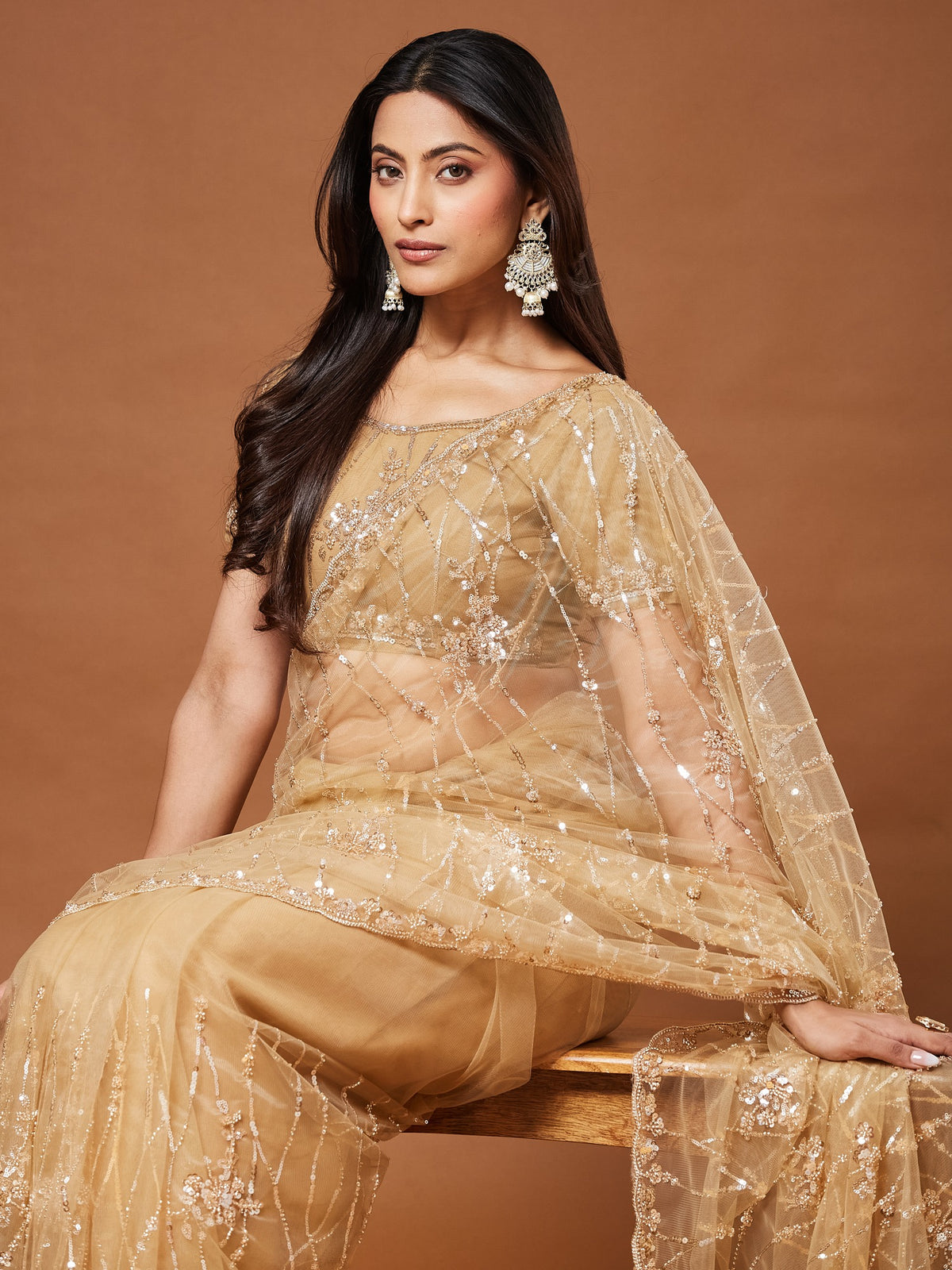 Beige Net saree – detail view 3