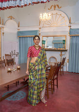 Vibrant Kathputli Saree