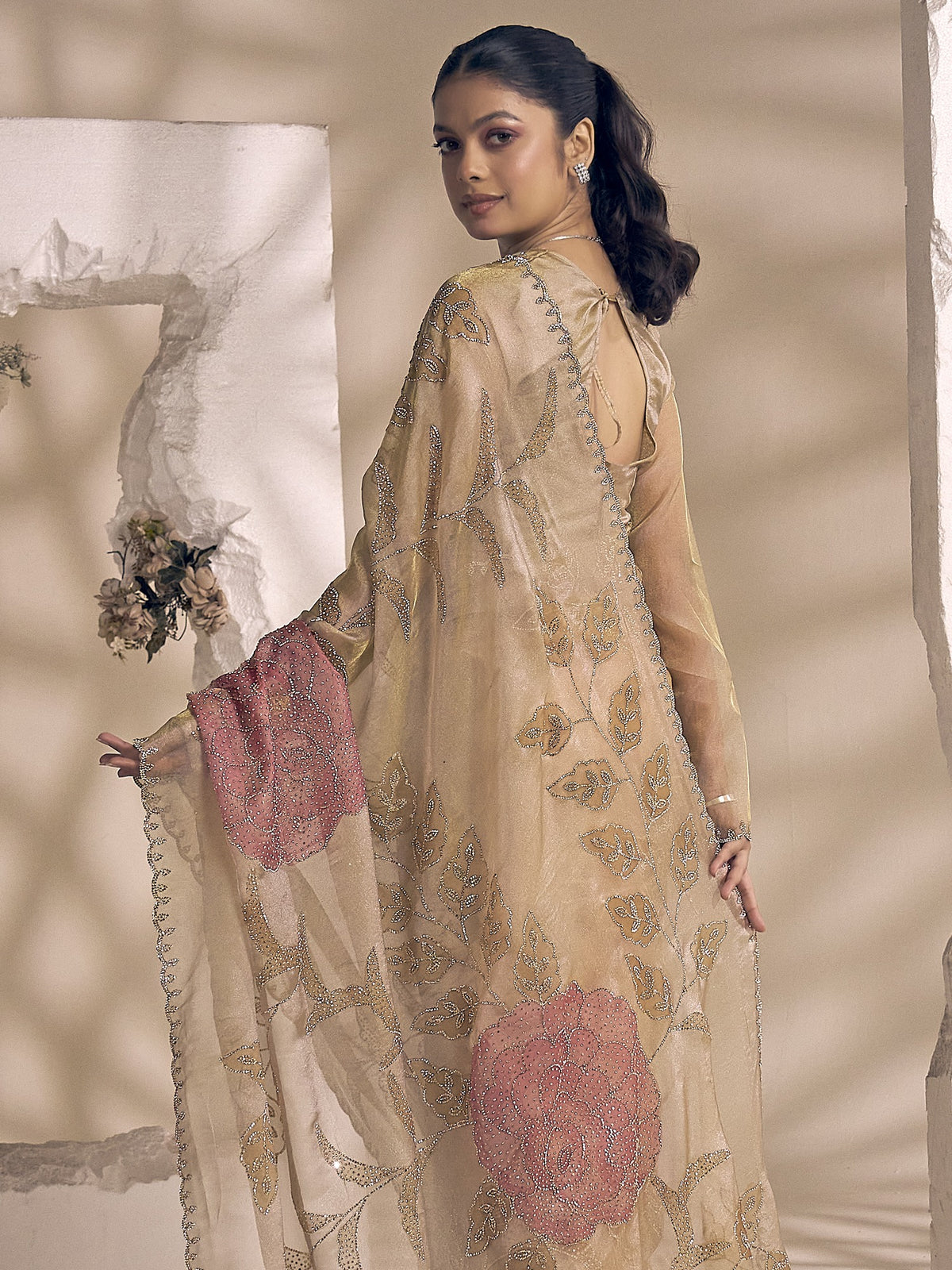 Champagne organza saree view 2