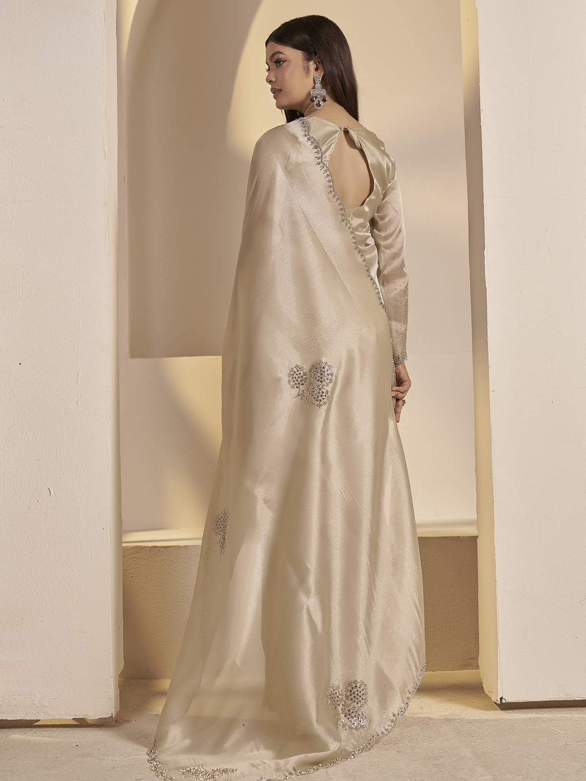 Beige organza saree view 4