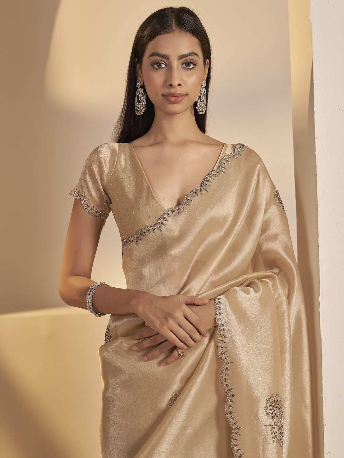 Champagne organza saree view 4