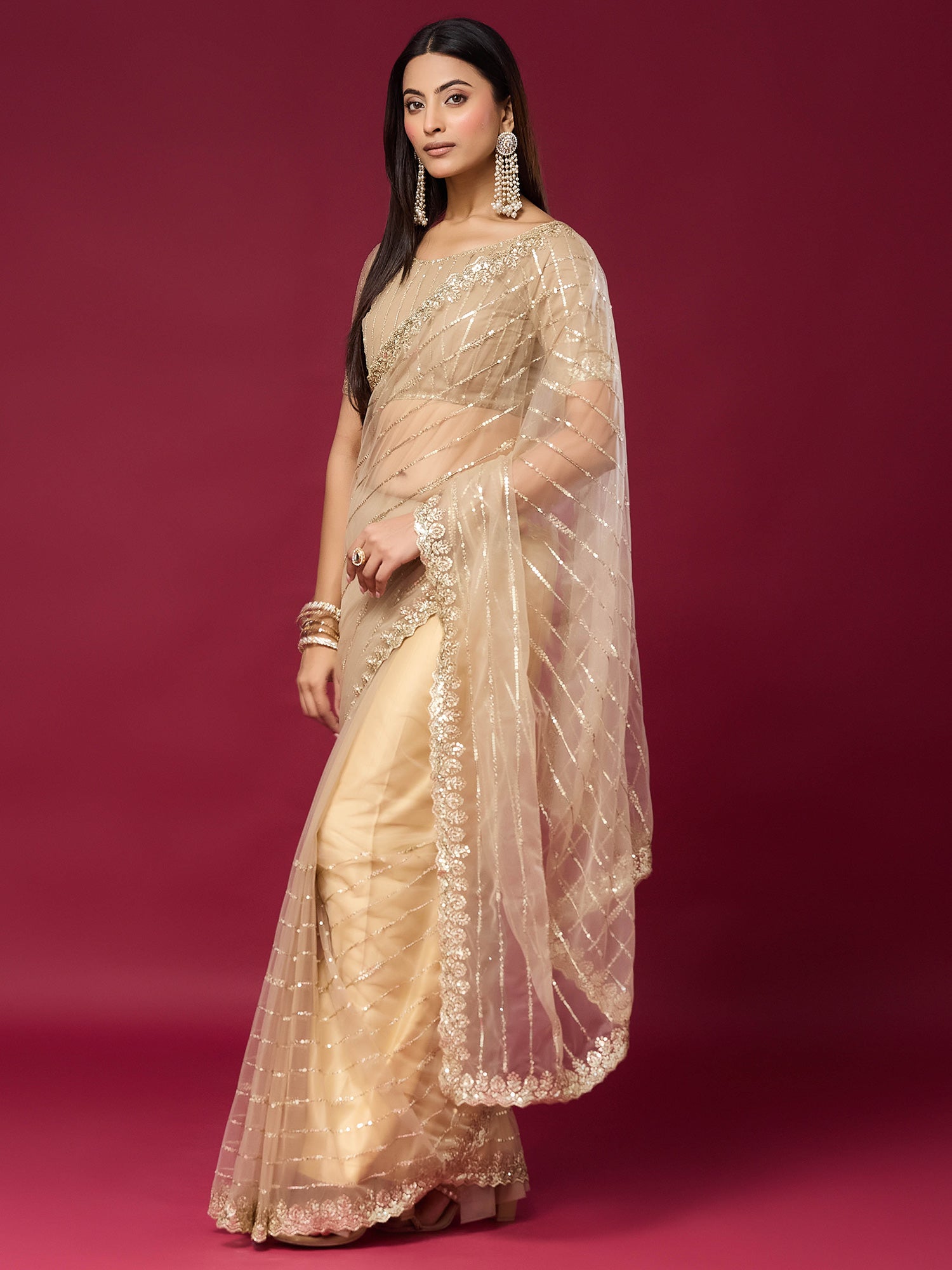 Beige Net saree – detail view 2