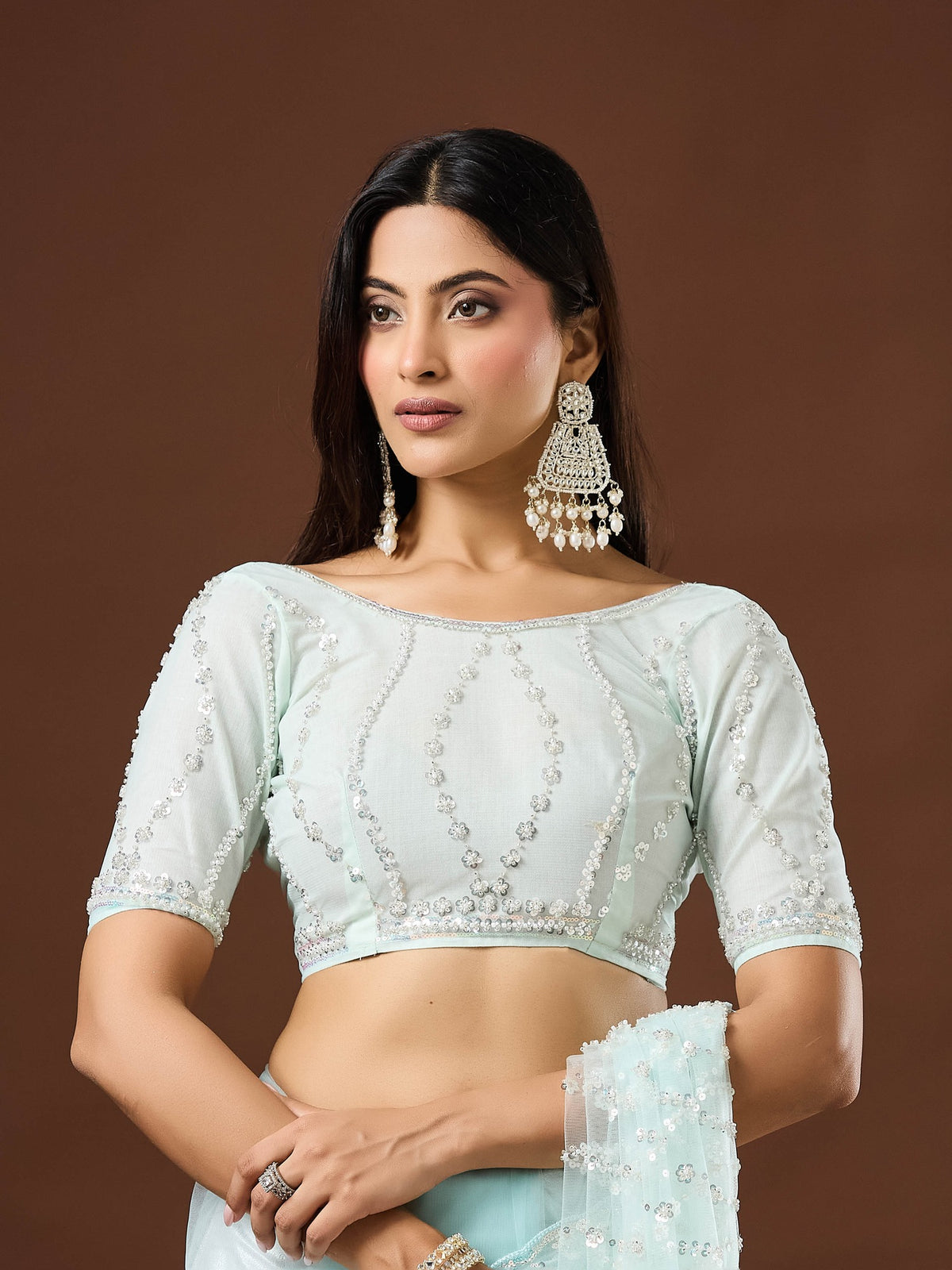 Light Blue Net saree – detail view 6