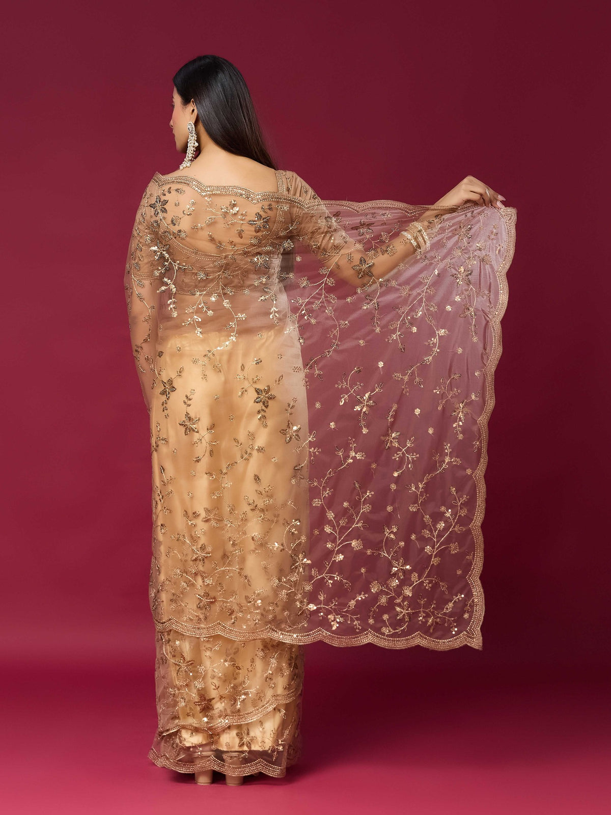 Beige Net saree – detail view 6