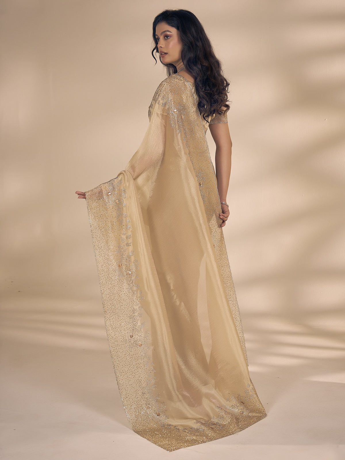 Champagne organza saree view 2