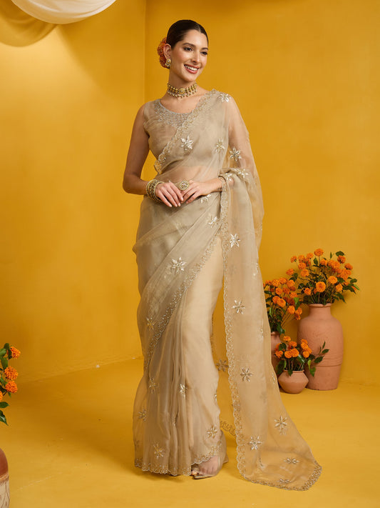 Woman wearing beige pure georgette saree with ornamented surface design and beige blouse