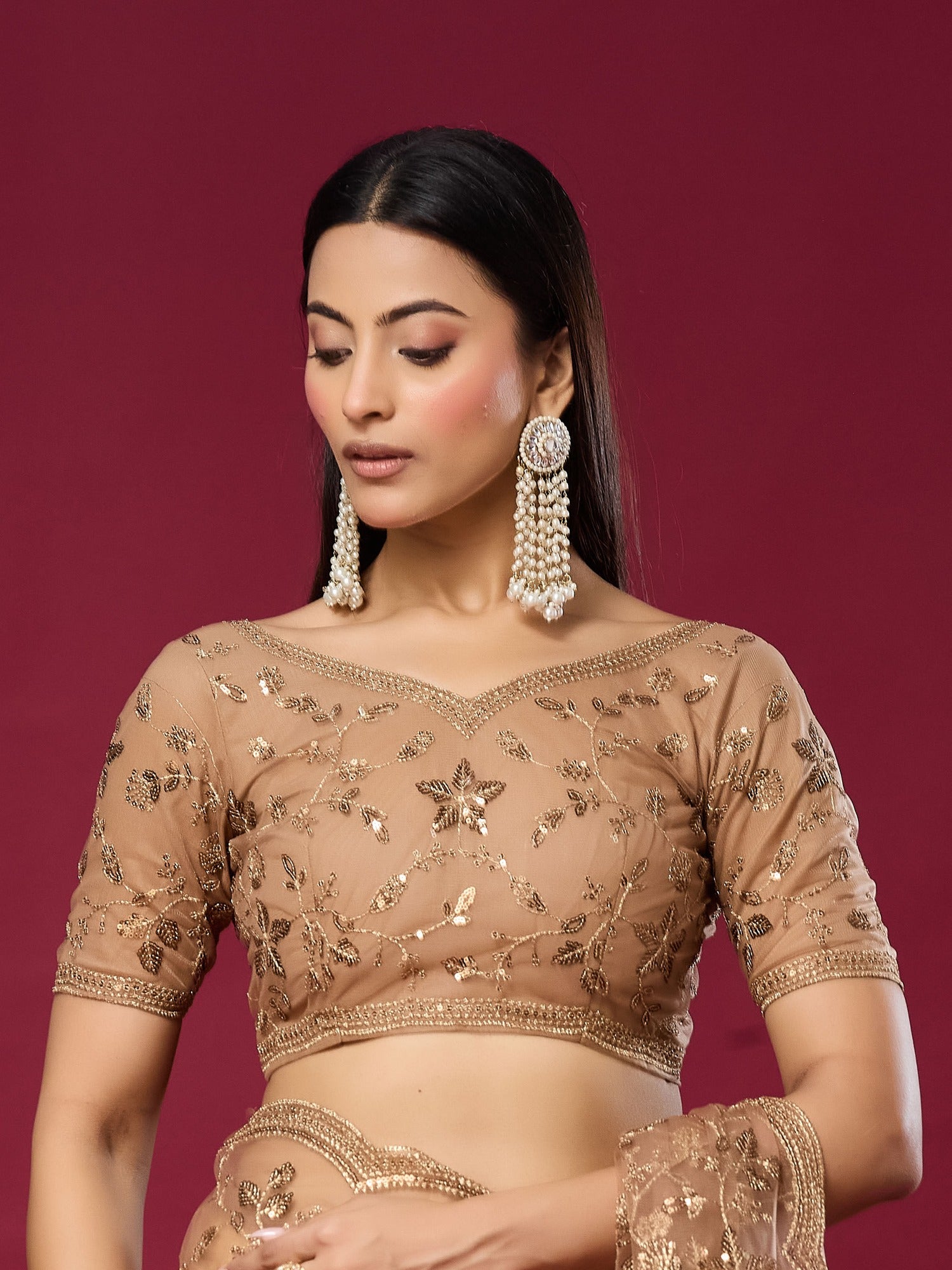 Beige Net saree – detail view 2