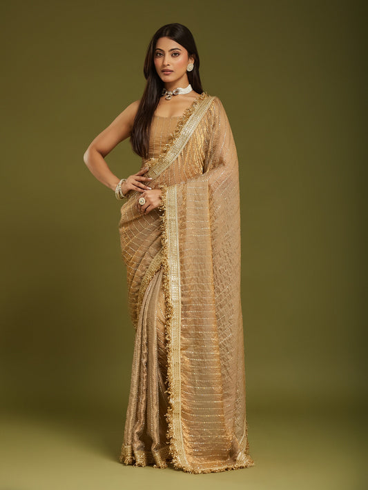 Woman wearing metallic satin saree with ornamented surface design and metallic blouse
