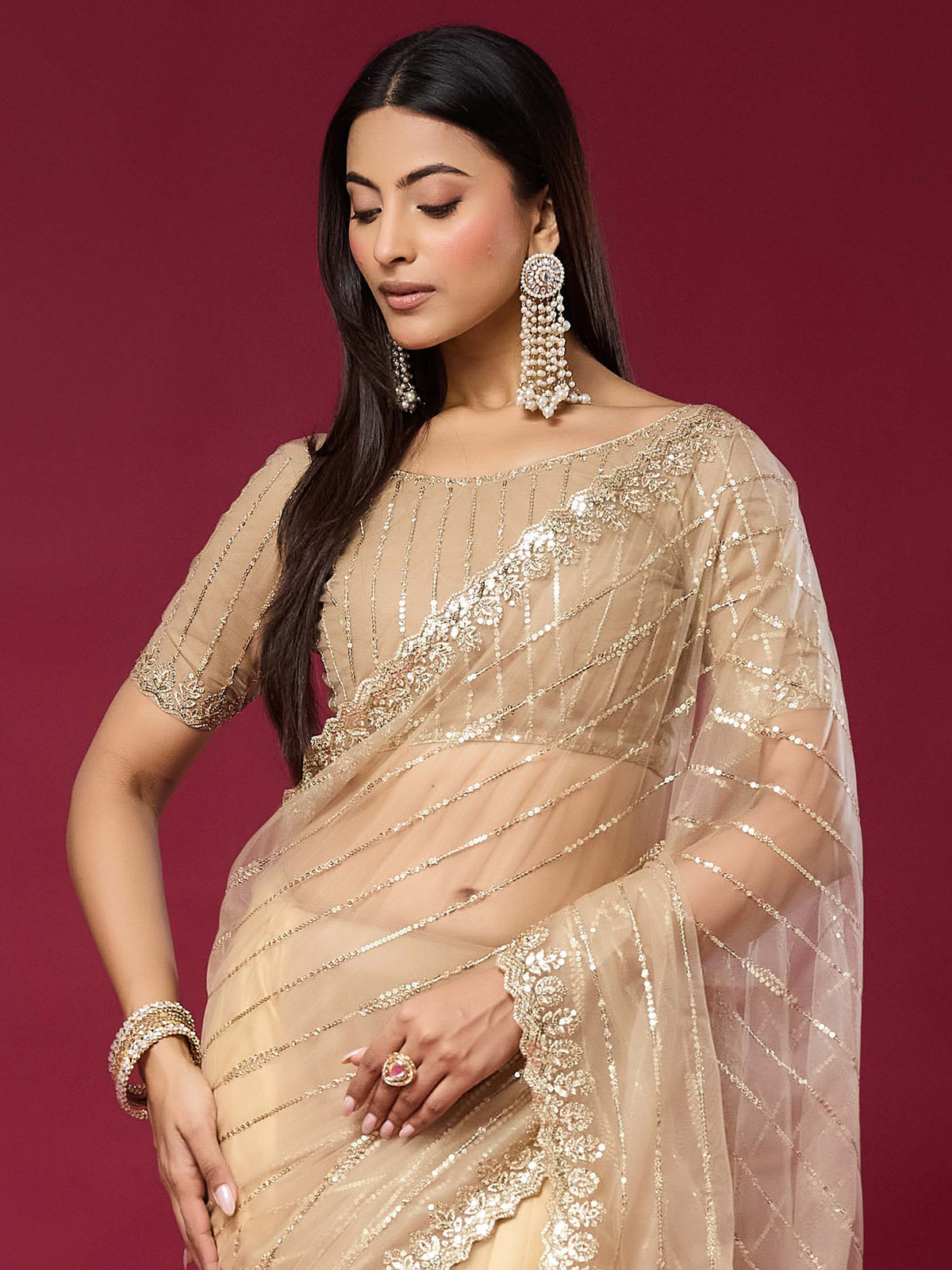 Beige Net saree – detail view 3