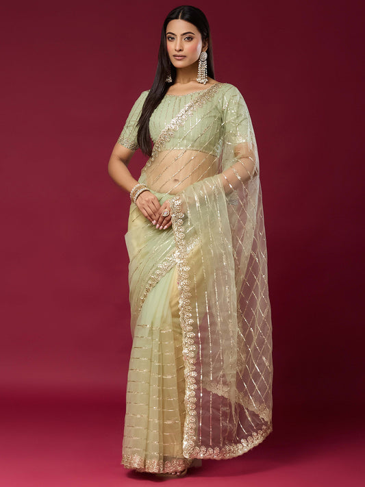 Woman wearing light green net saree with ornamented surface design and light green blouse
