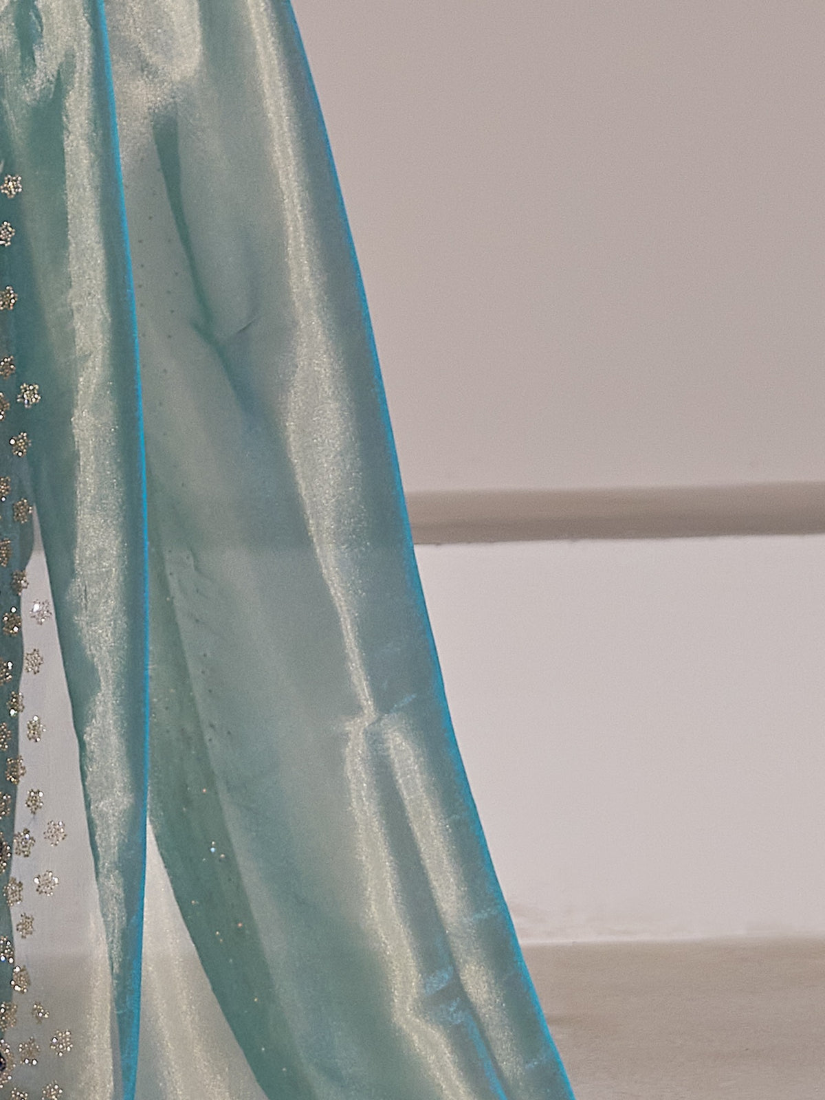 Pallu detail of light blue organza saree showing applique design and scallop border
