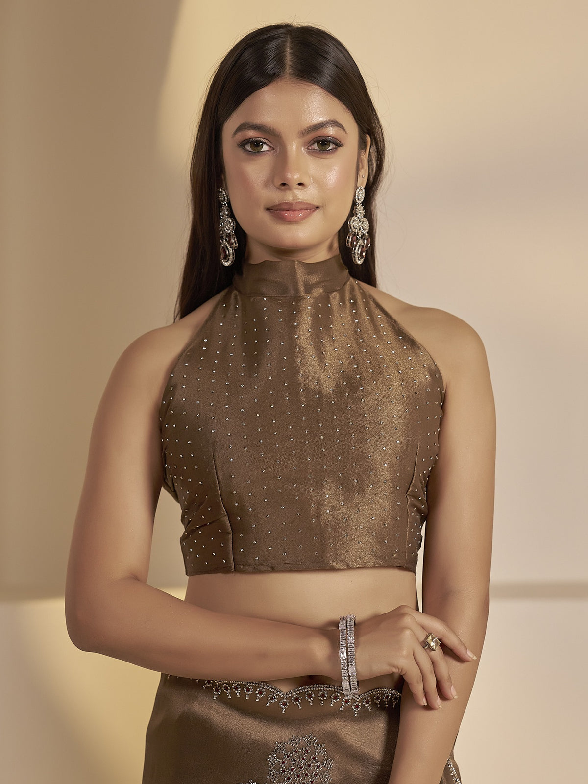 Brown organza saree view 6