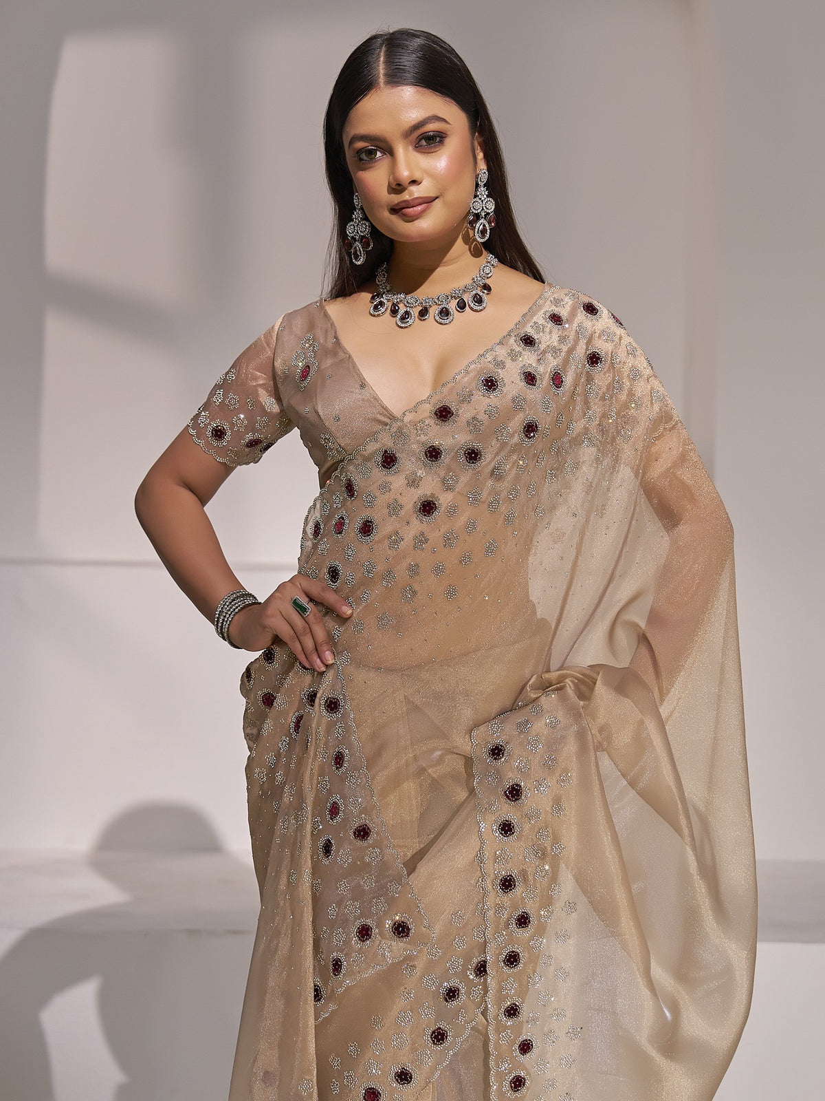 Champagne organza saree view 2
