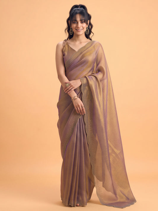 Woman wearing metallic satin silk saree with ornamented surface design and metallic blouse