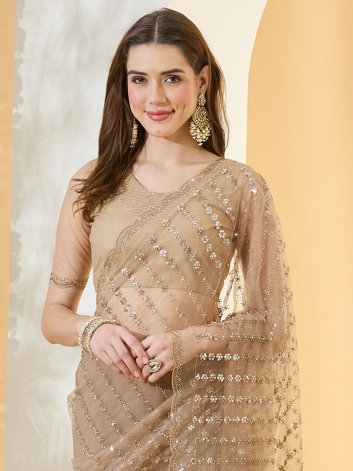 Beige Net saree – detail view 4