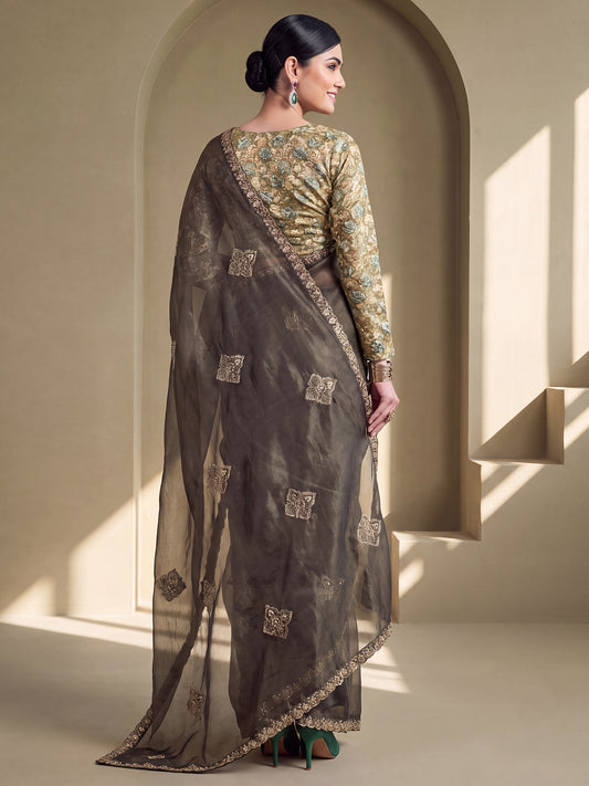 Olive Tissue saree – detail view 1