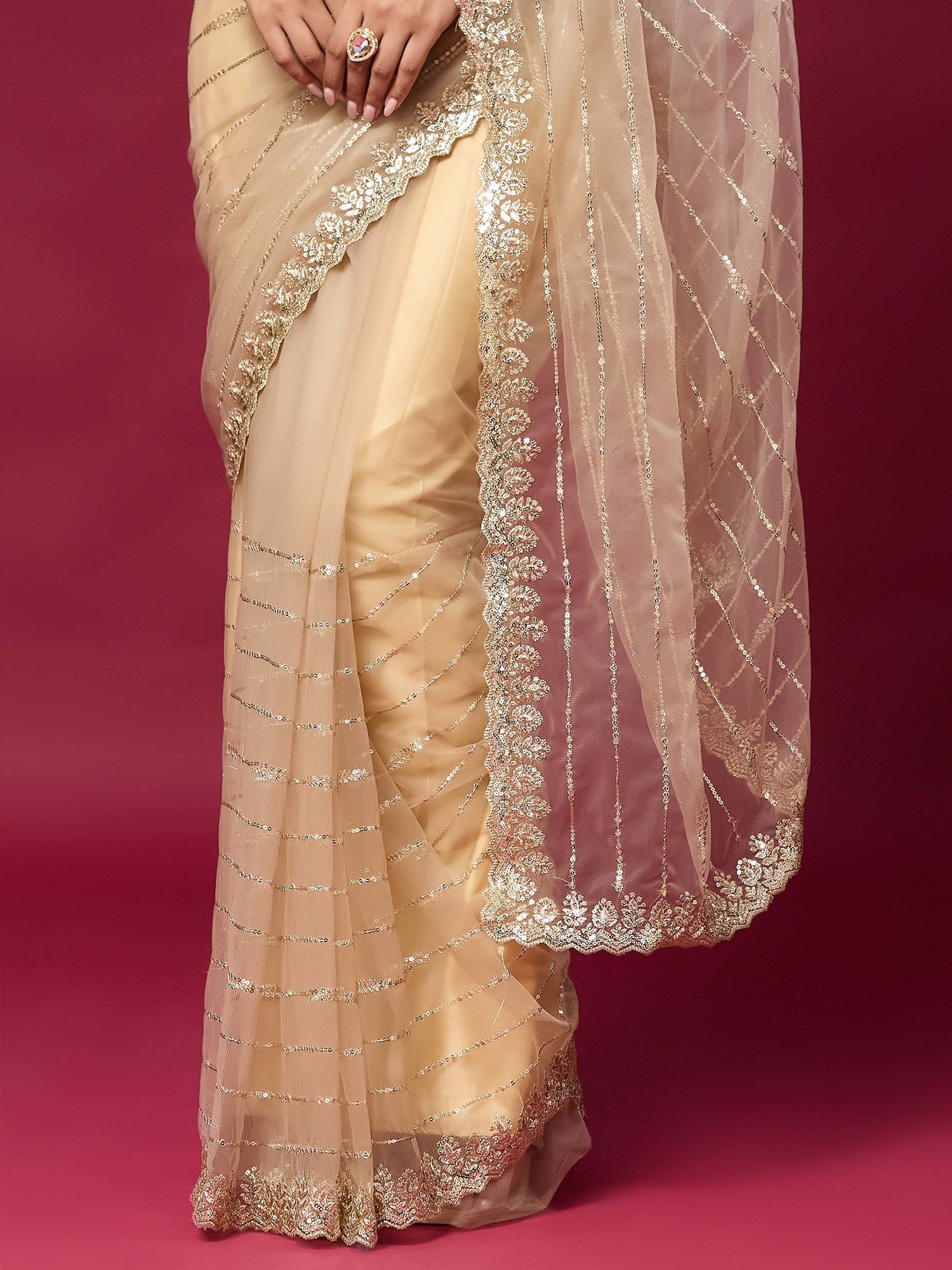 Beige Net saree – detail view 5
