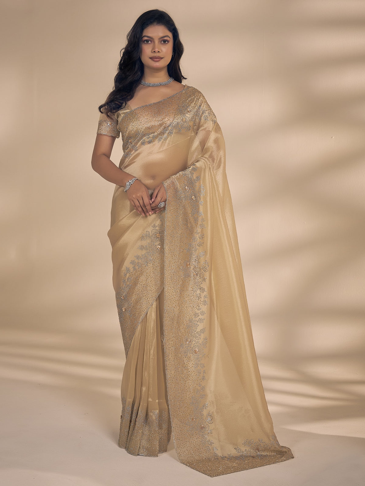 Champagne applique organza saree with champagne blouse piece