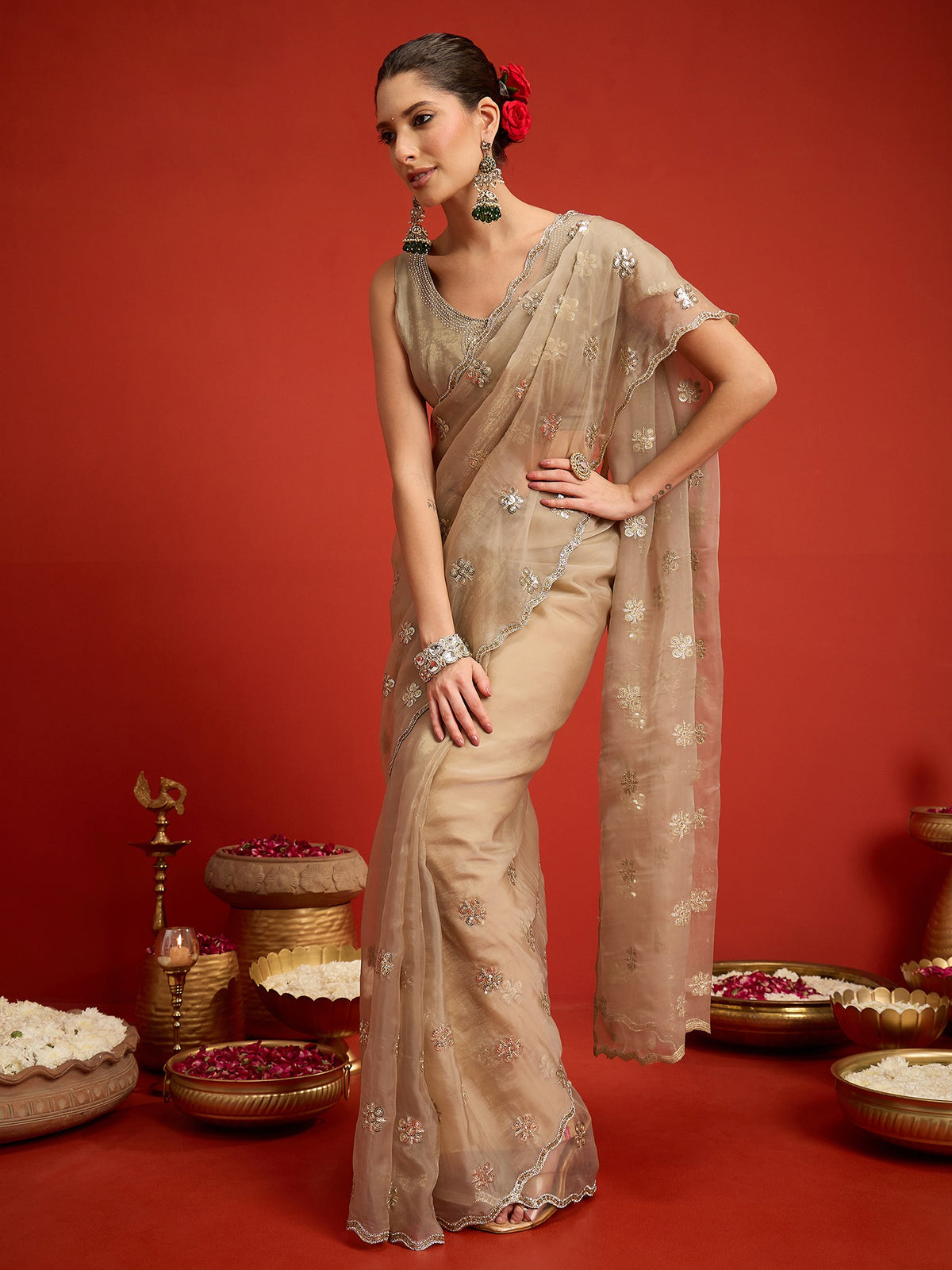 Beige Chiffon saree – detail view 2
