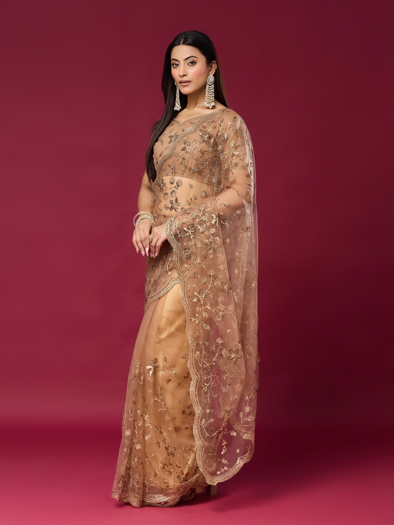 Beige Net saree – detail view 5