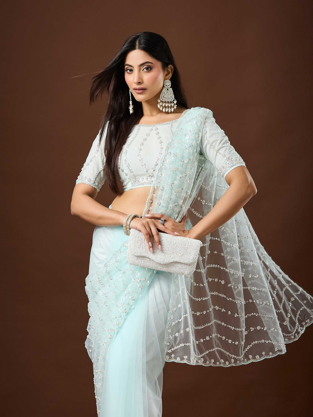 Light Blue Net saree – detail view 1