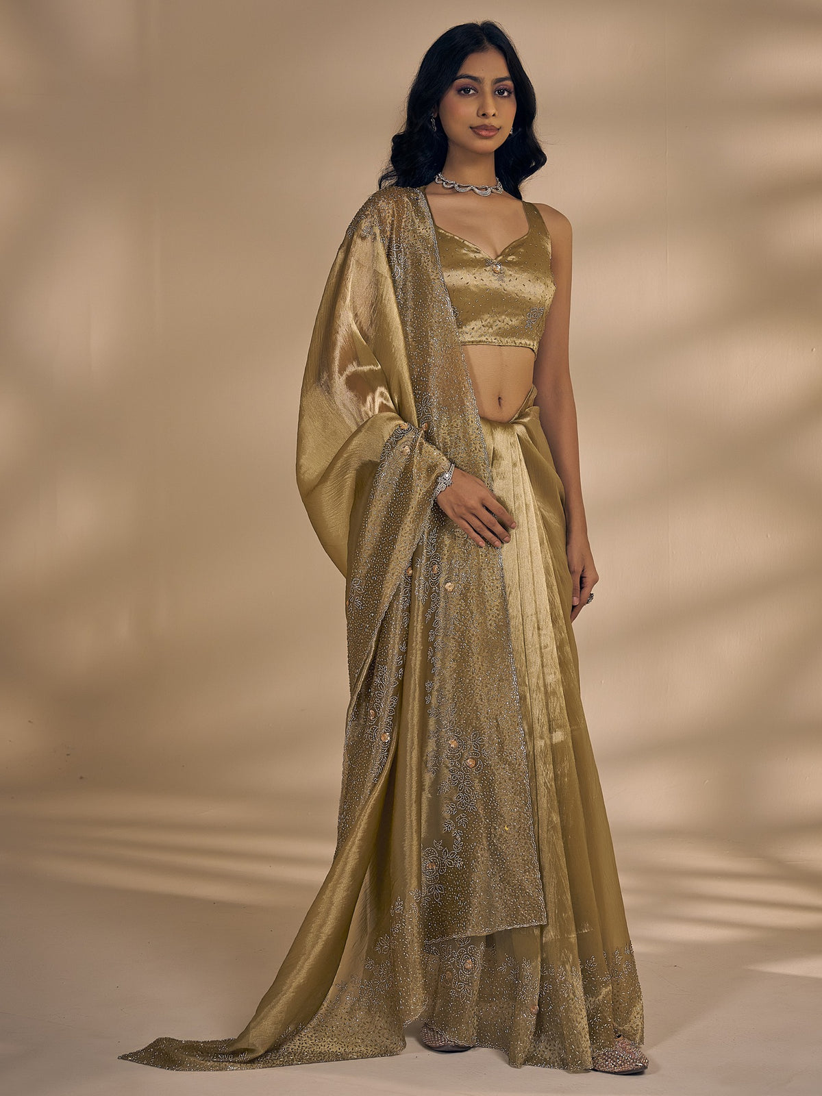 Olive organza saree view 3