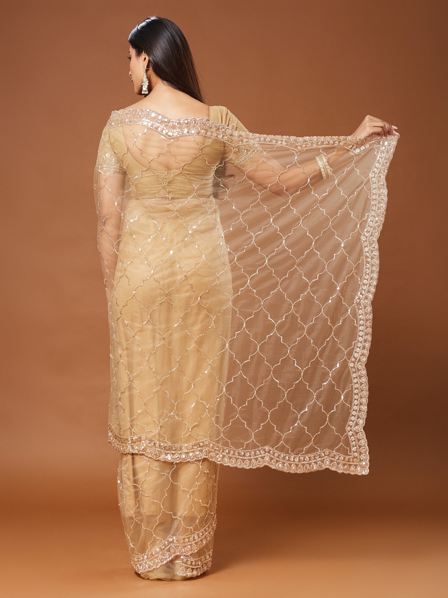 Beige Net saree – detail view 5