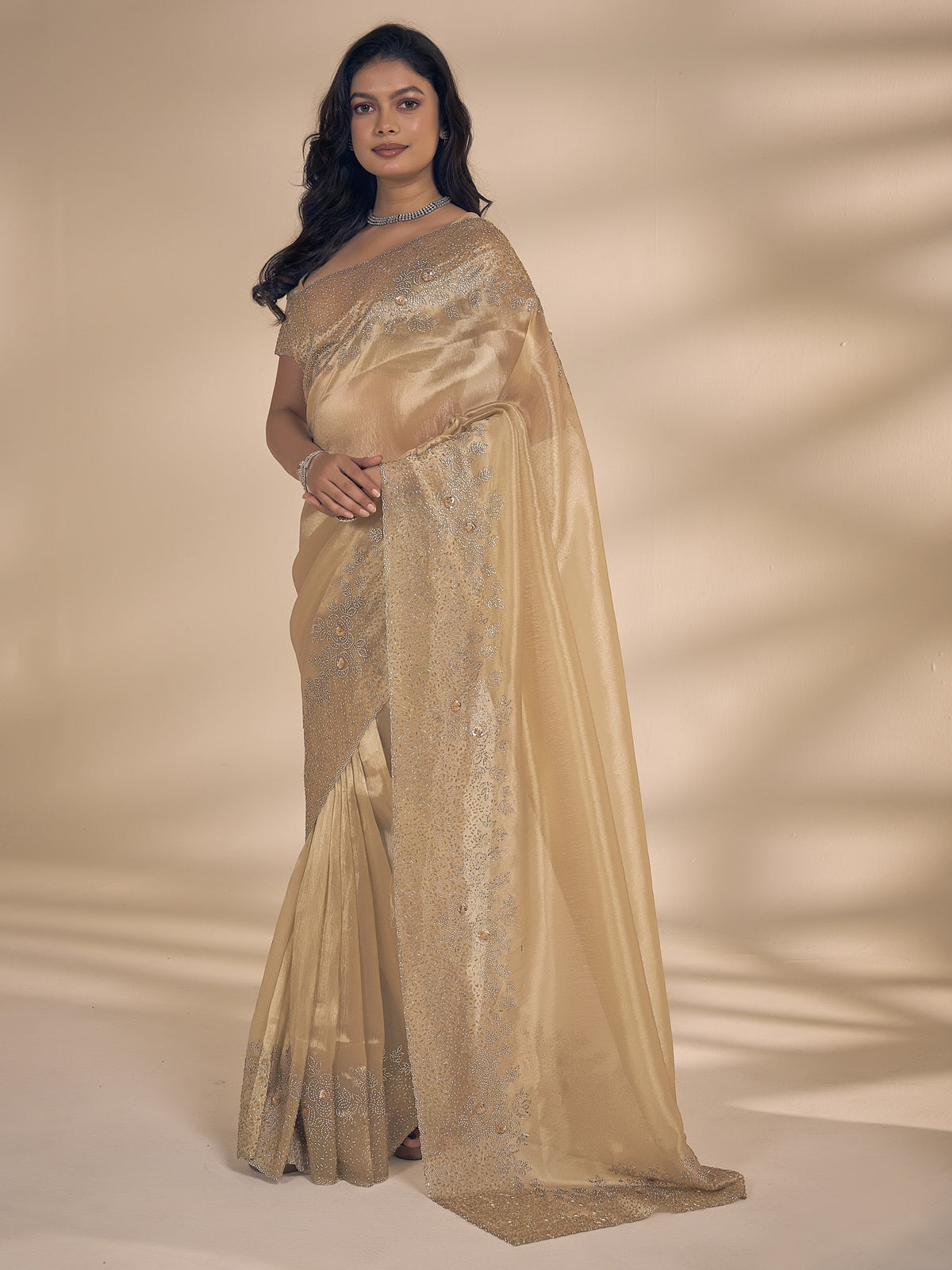 Champagne organza saree view 3
