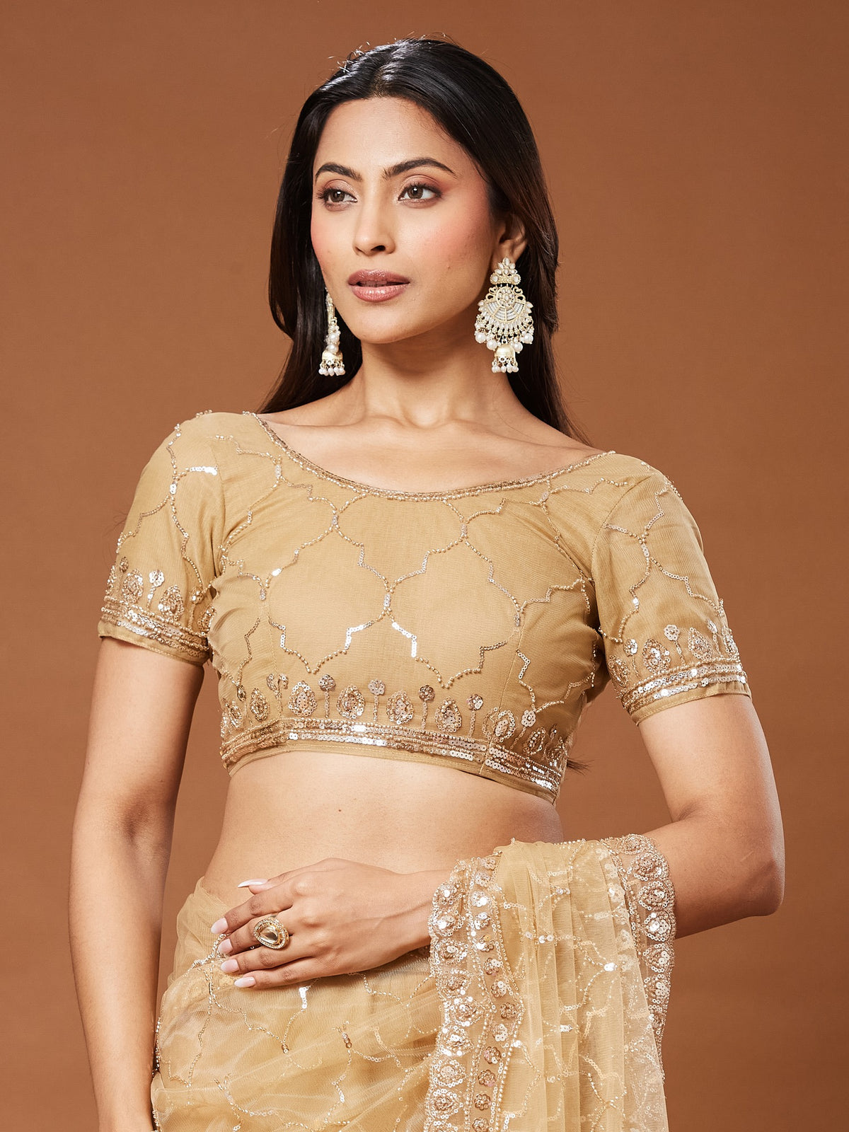 Beige Net saree – detail view 1