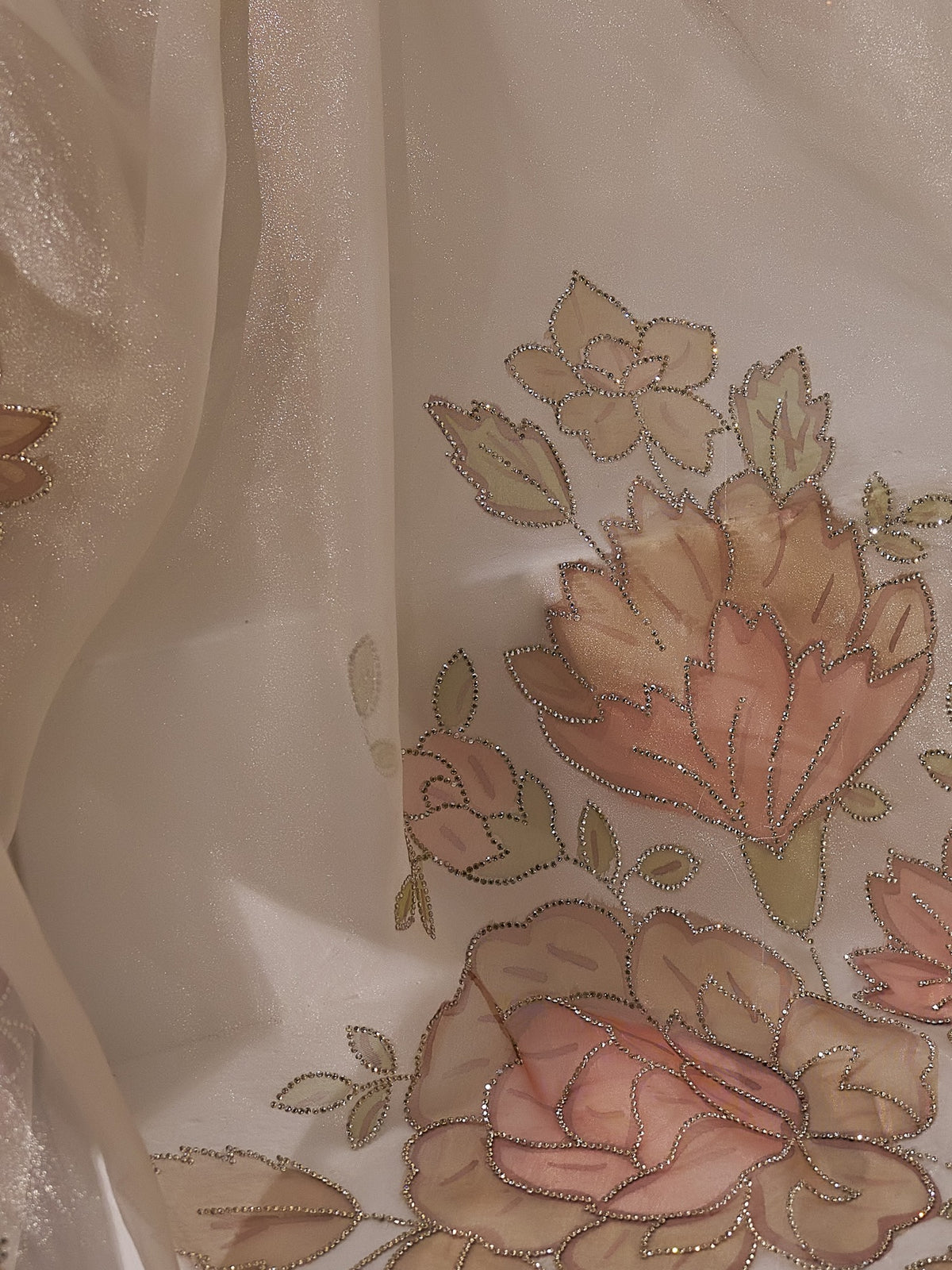 Champagne organza saree view 5