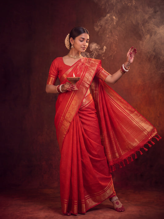 Woman wearing red viscose saree with traditional indian motif work and red blouse