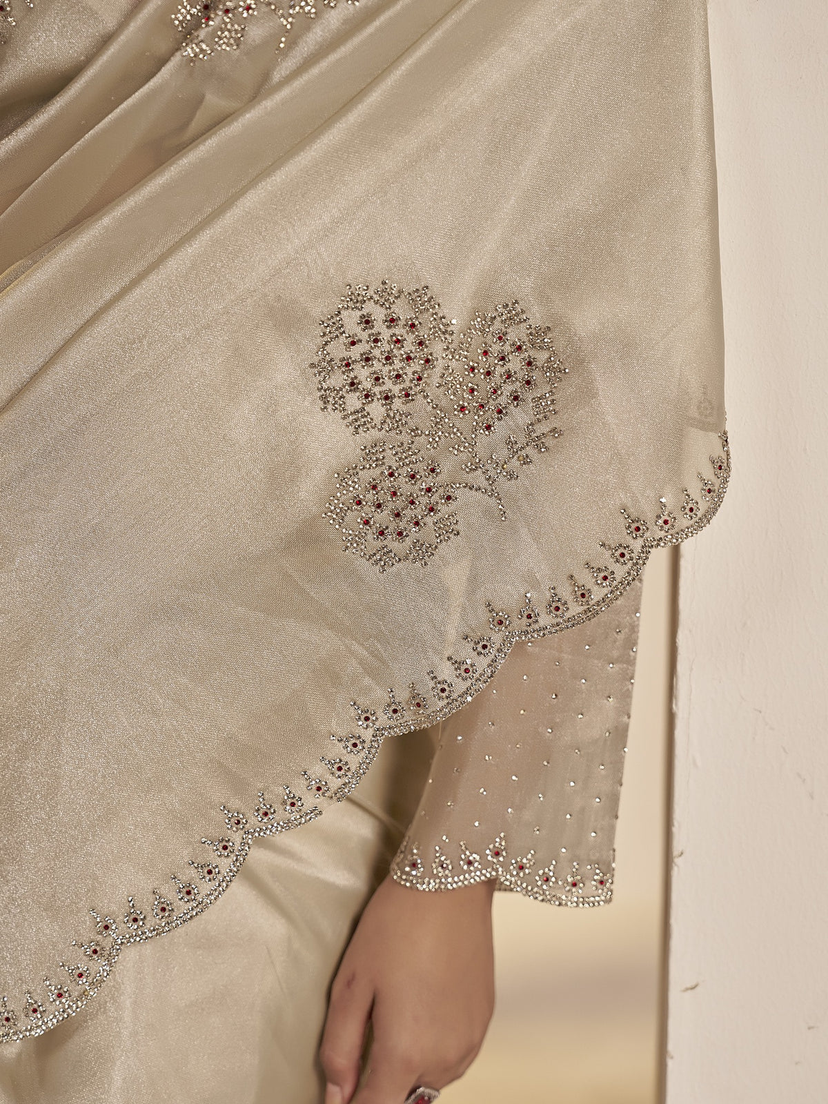 Beige organza saree view 6